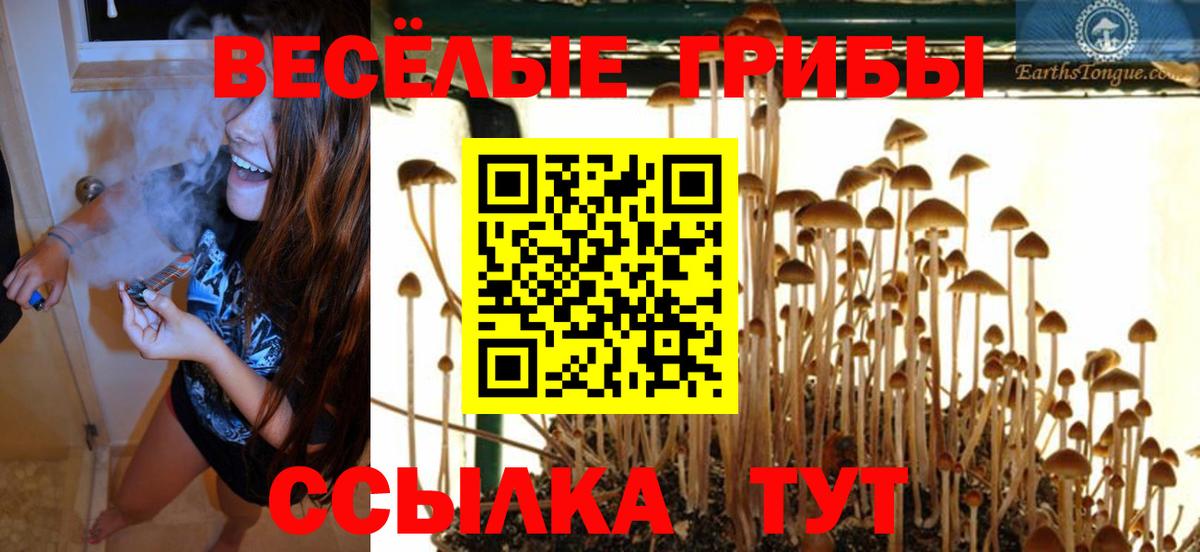 Псилоцибиновые грибы Magic Shrooms  Балаково 