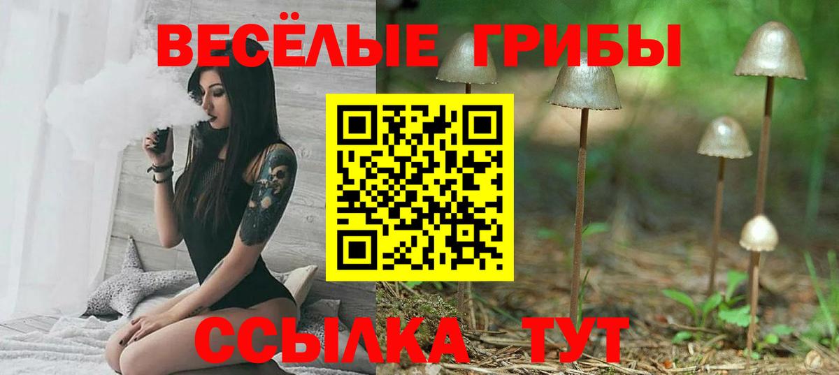 Псилоцибиновые грибы MAGIC MUSHROOMS Балаково